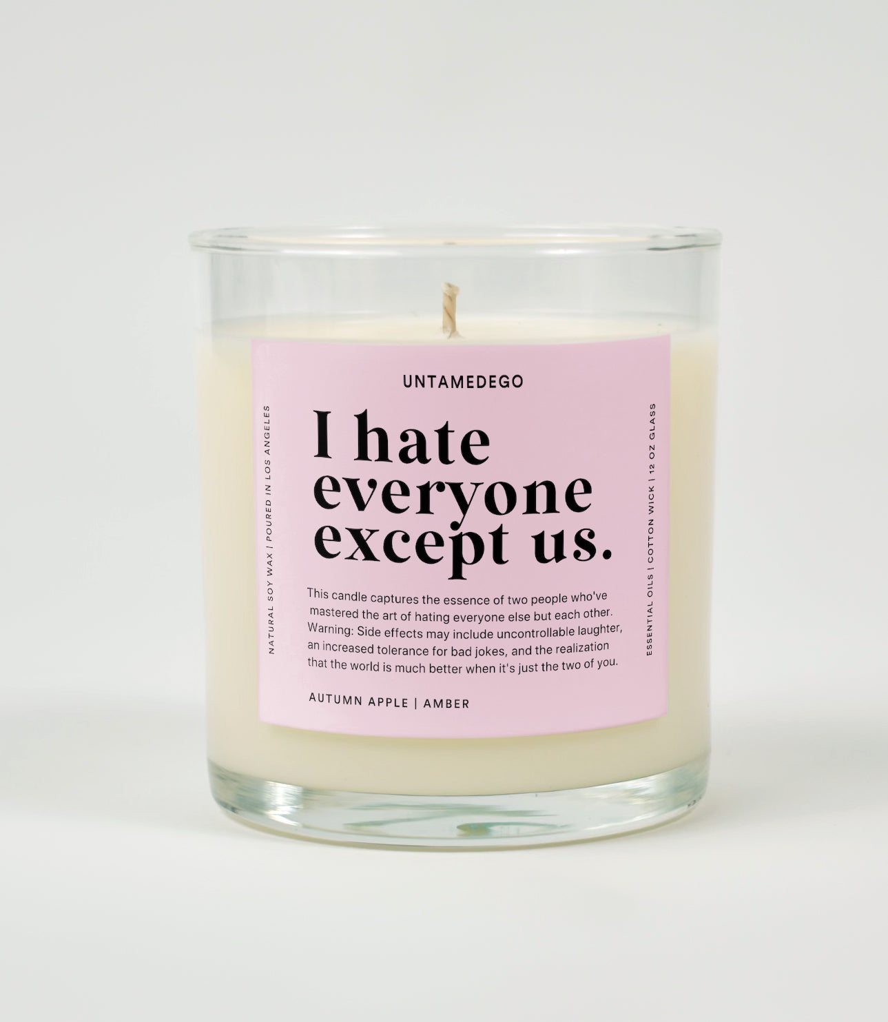 I Hate Everyone Except Us Glass Candle