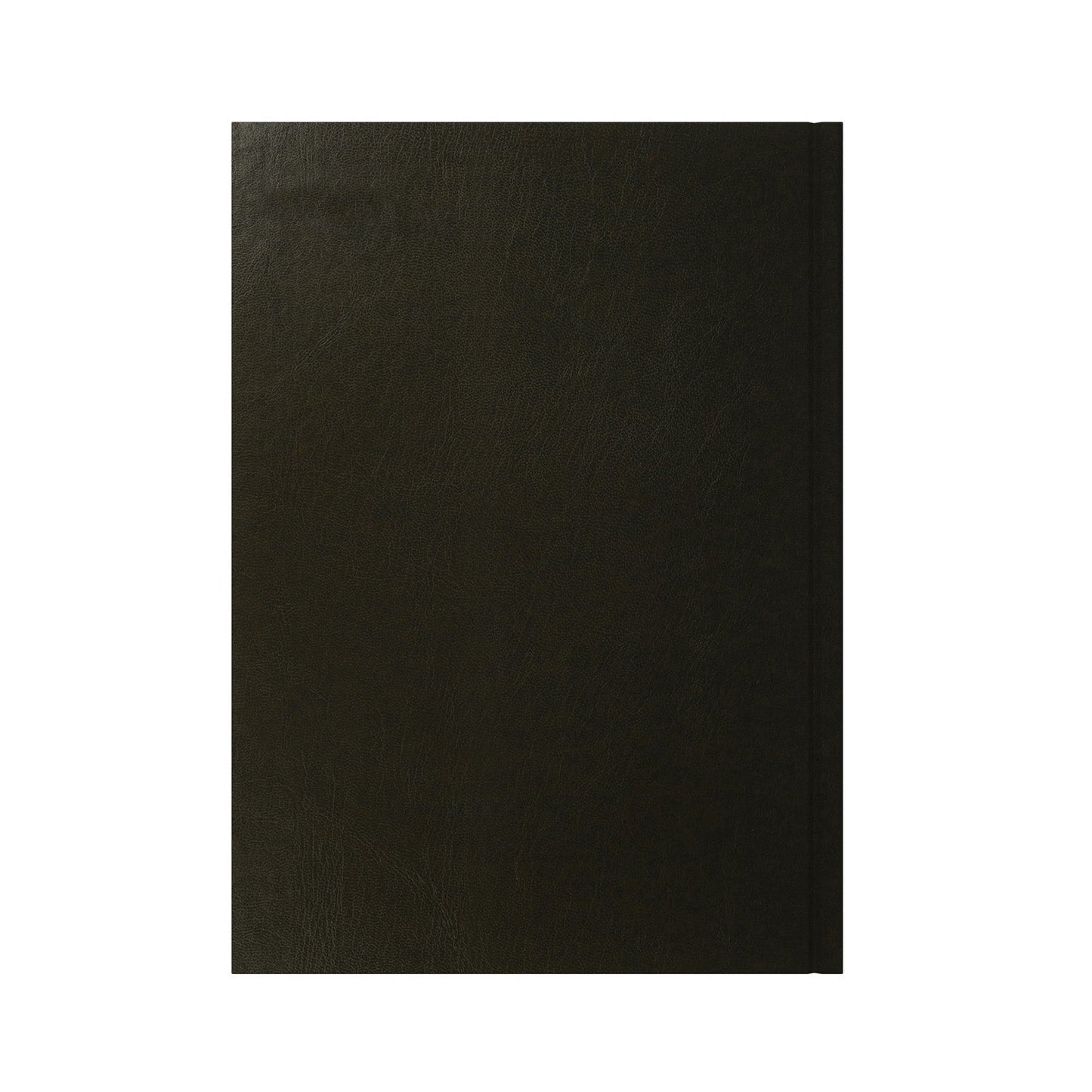 Essential - A4 Day-to-Page Diary - 2026 Calendar Year Planner