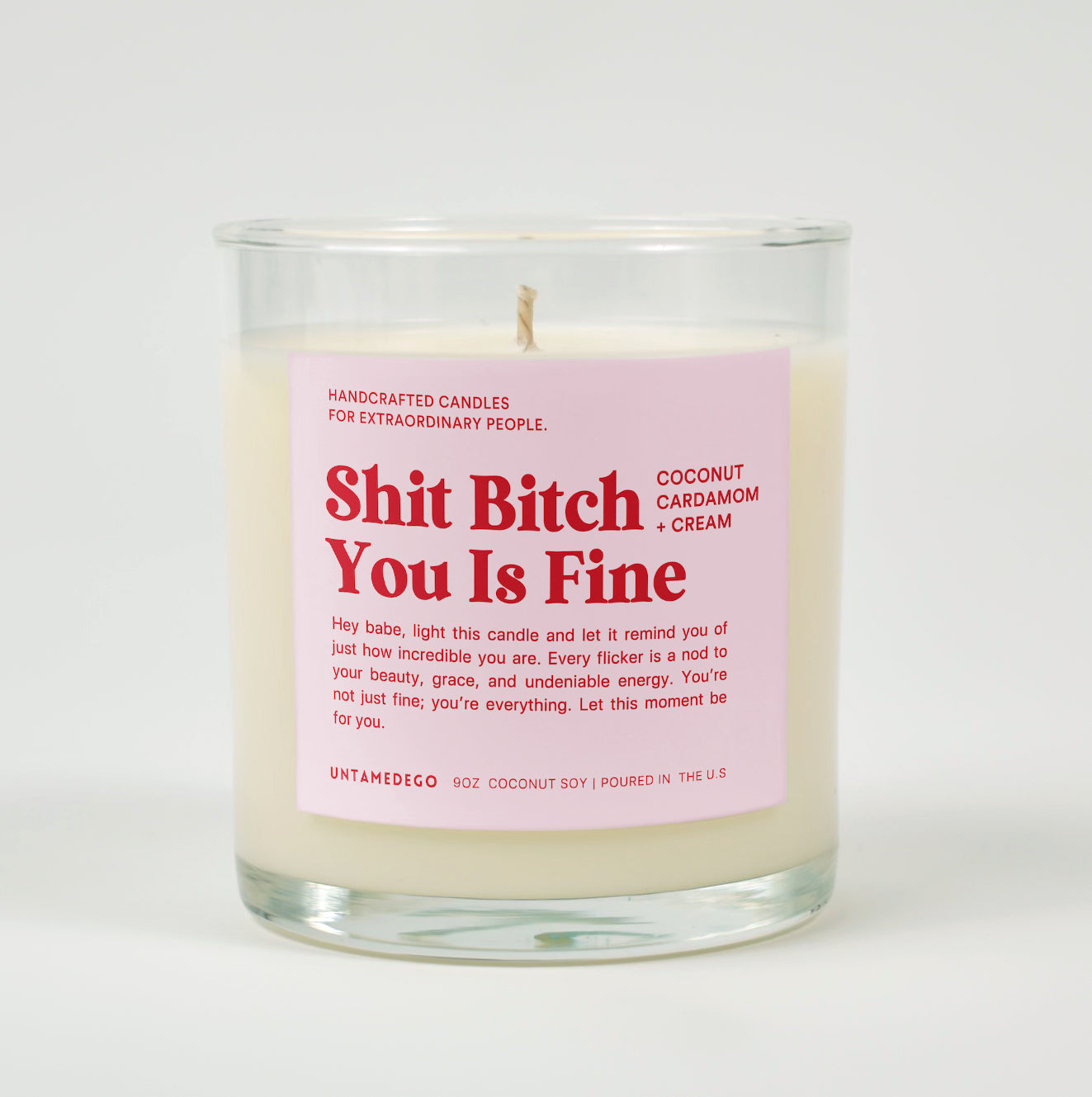 Shit Bitch You Is Fine Glass Candle