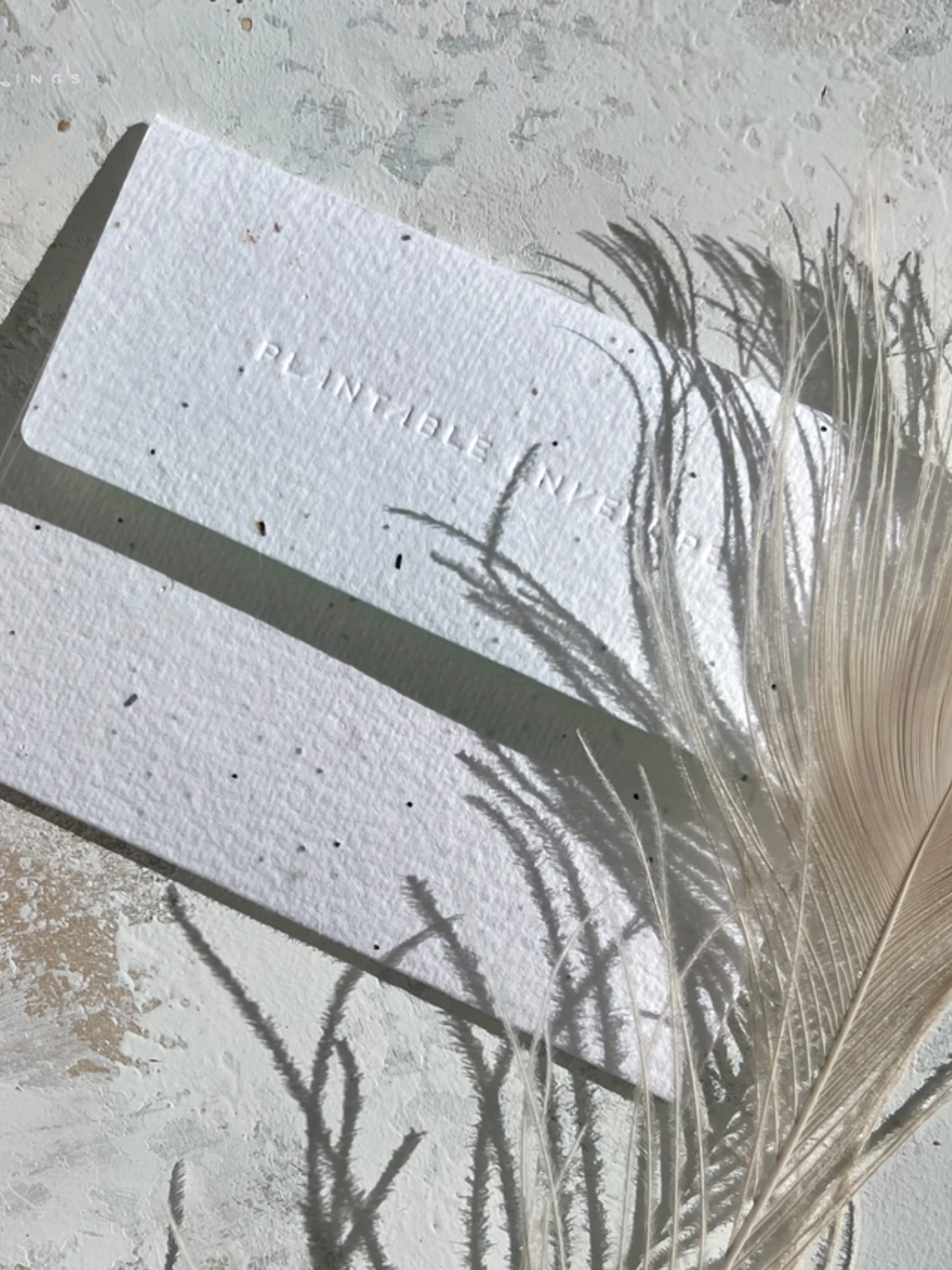 Astrological Ladies - Seeded Birthday Card