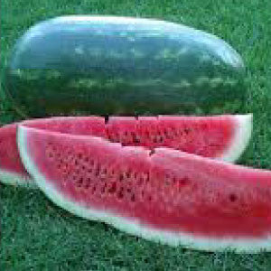 WATERMELON Seeds, Black Diamond