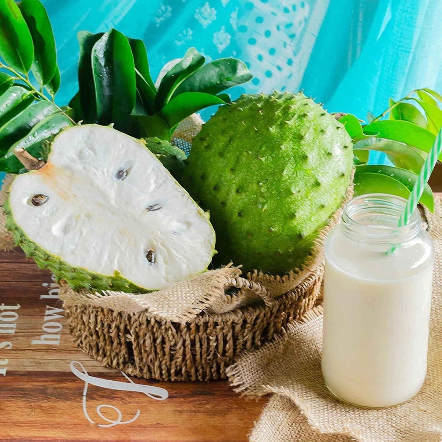 Annona Muricata - 10 Seeds - Soursop, Graviola, Guyabano, Sirsak, Non-Gmo Fruit Seeds, Tasty Tropical