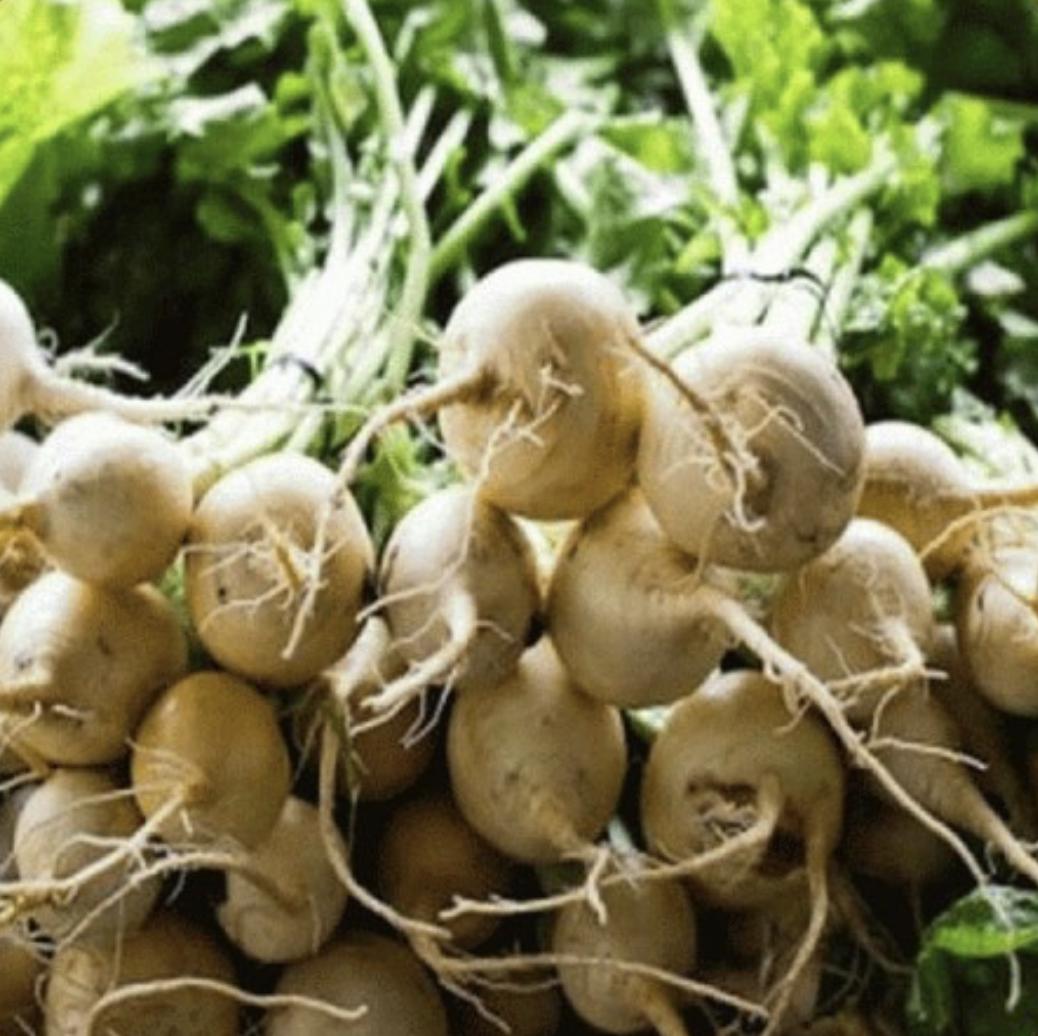 White Albino Beet - 250 Seeds - Non-Gmo Heirloom