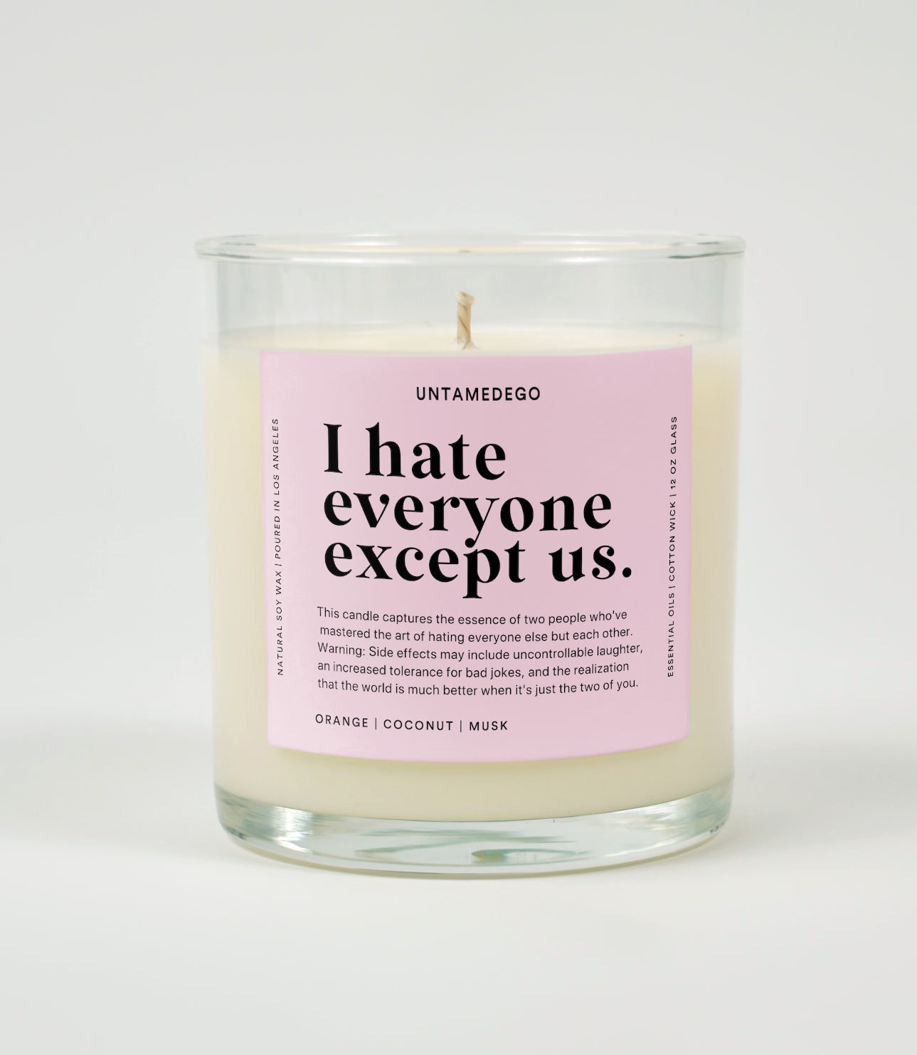 I Hate Everyone Except Us Glass Candle