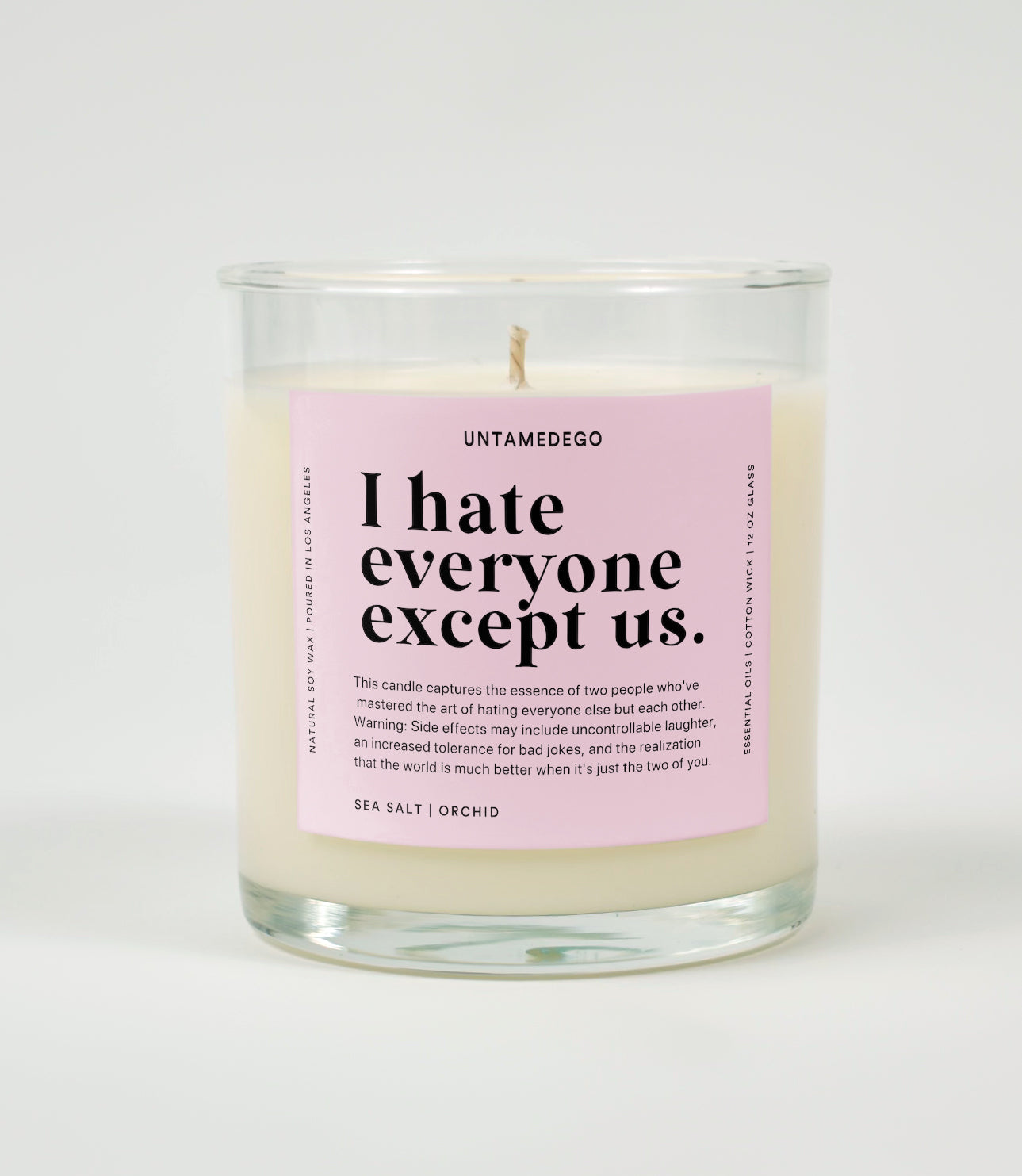 I Hate Everyone Except Us Glass Candle