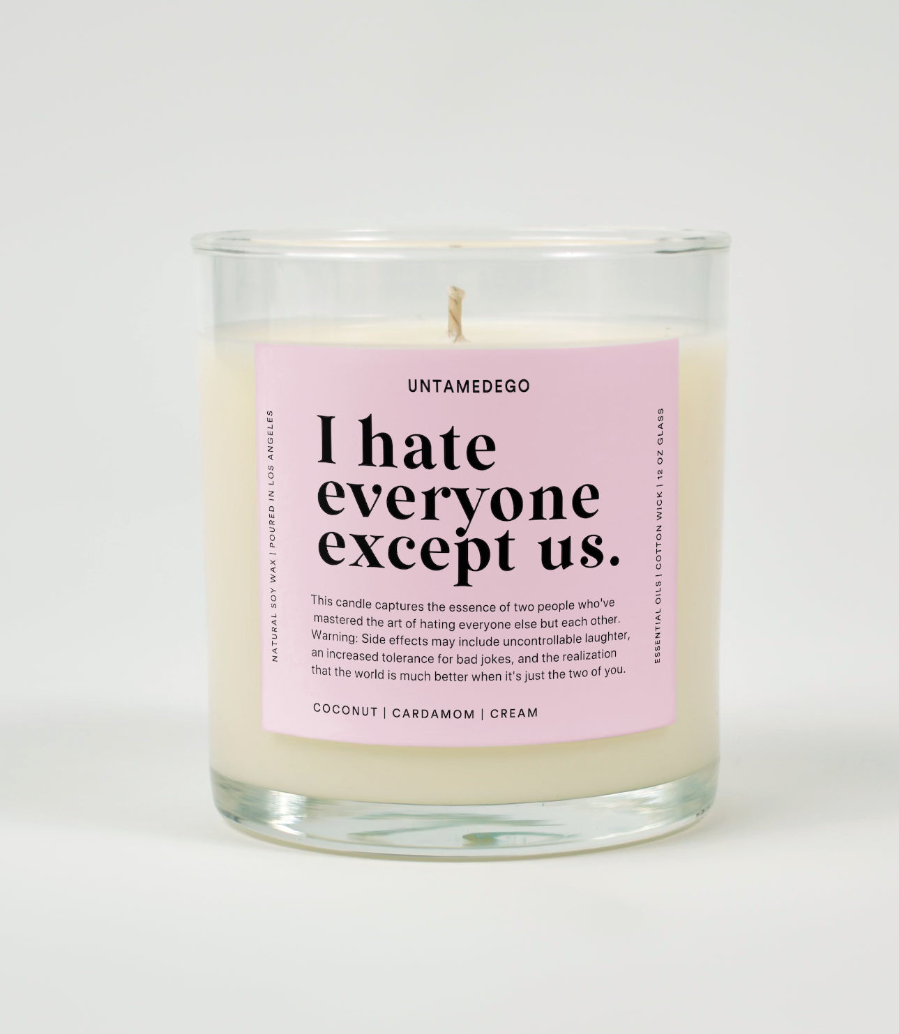 I Hate Everyone Except Us Glass Candle