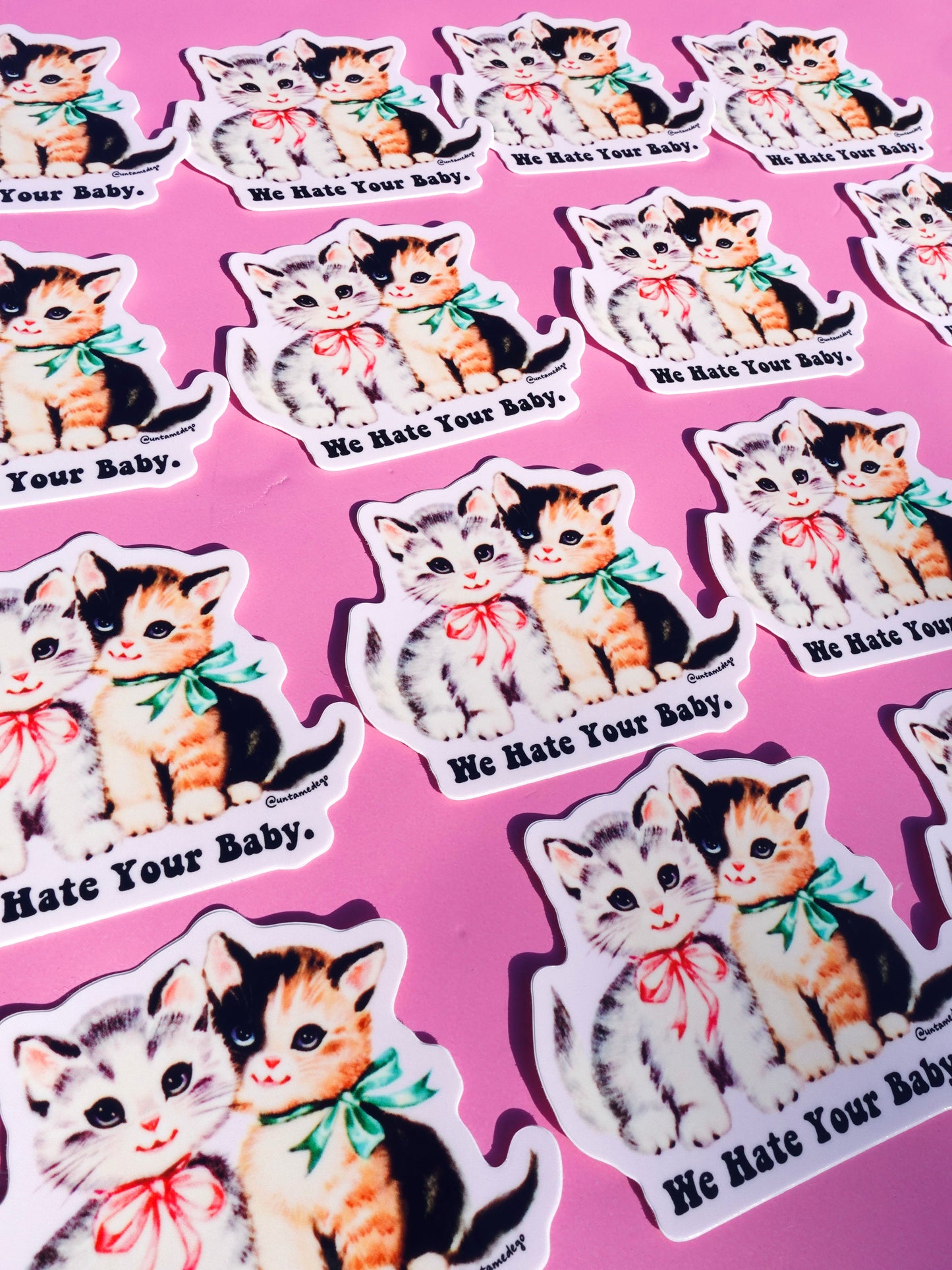 Funny Vinyl Sticker – We Hate Your Baby  Cats Waterproof Dark Humor Sticker