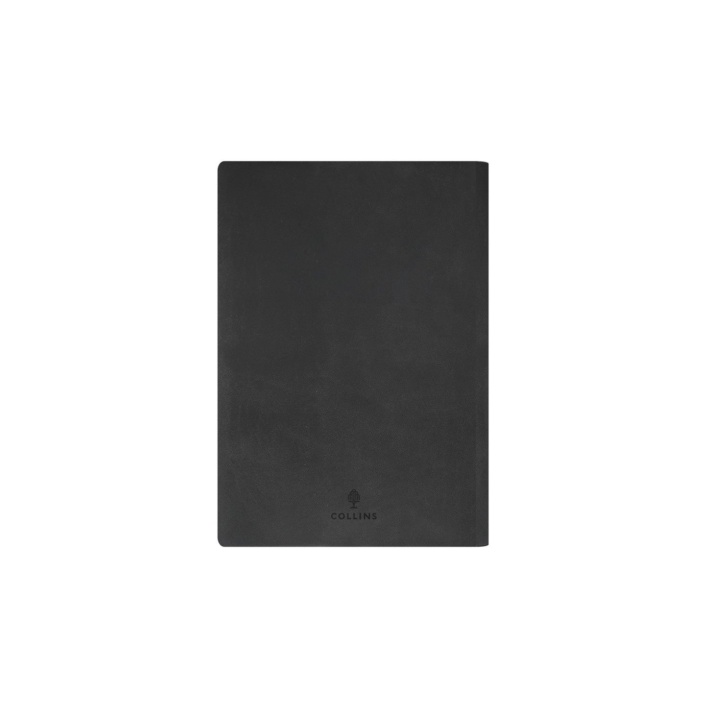 Edge Rainbow - A5 Day-To-Page Diary - 2026 Calendar Year Planner