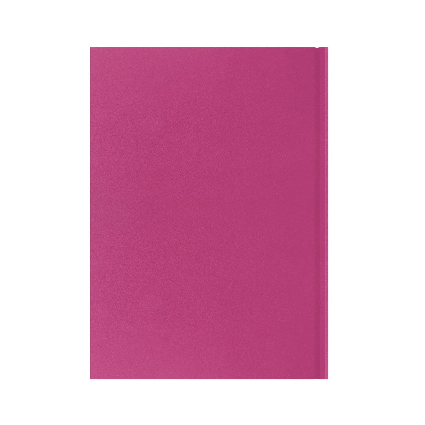 Essentials - A4 Day-to-Page with Appointments Mid/Academic Year Diary Planner 2025-2026