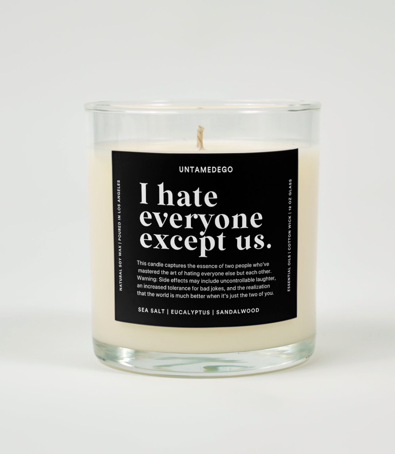 I Hate Everyone Except Us Glass Candle