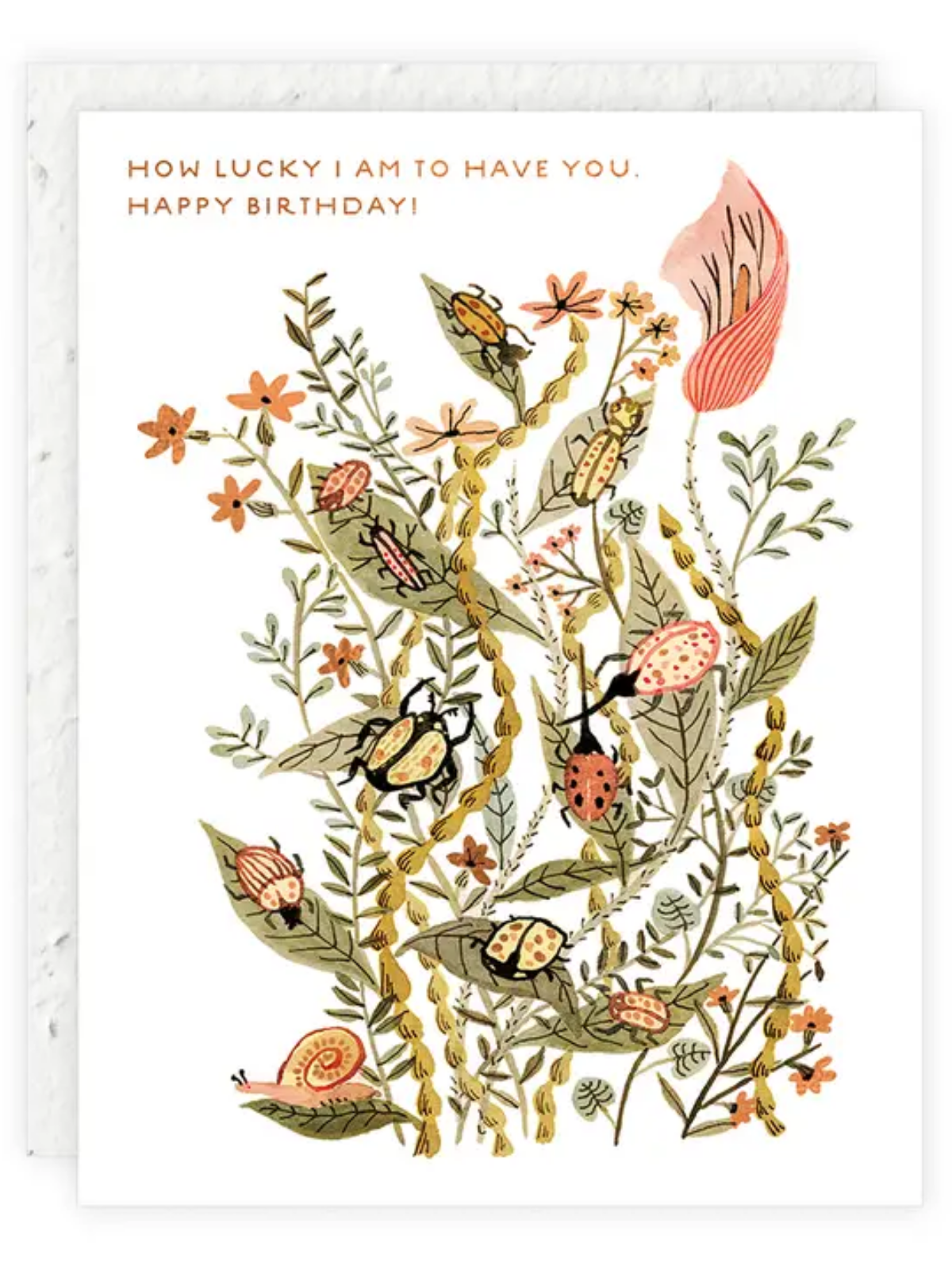 How Lucky I Am - Seeded Birthday Card