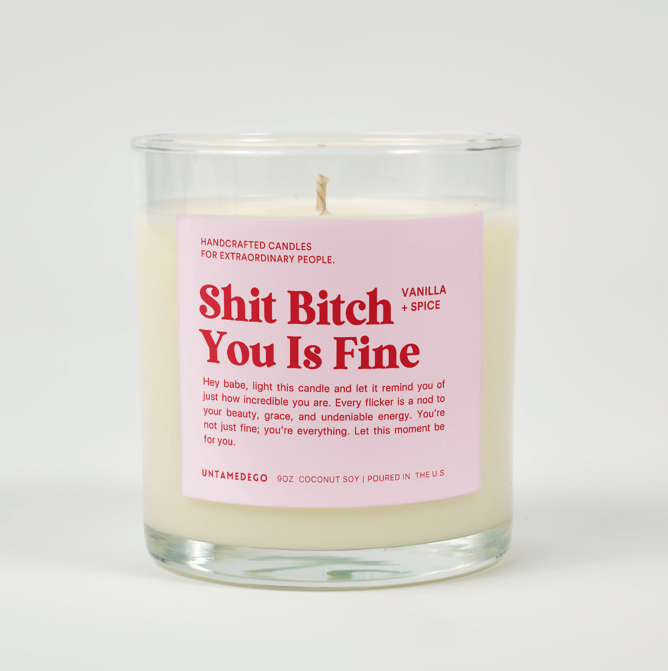 Shit Bitch You Is Fine Glass Candle