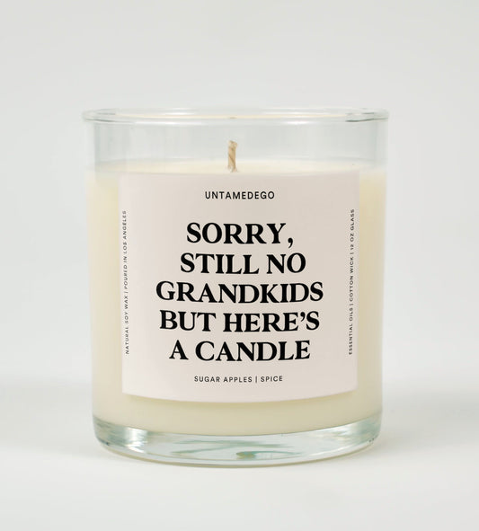 Sorry, Still No Grandkids but Here’s a Candle | Funny Candle