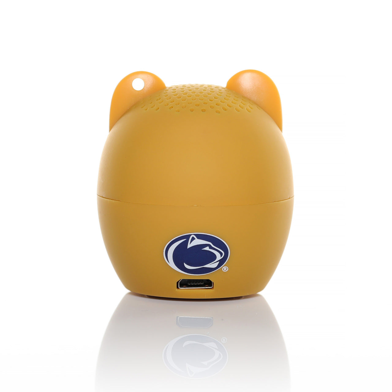 Penn State Nittany Lions
