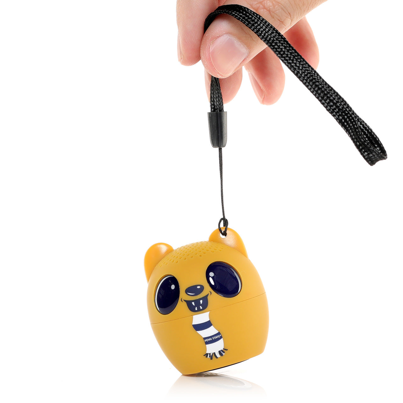 Penn State Nittany Lions