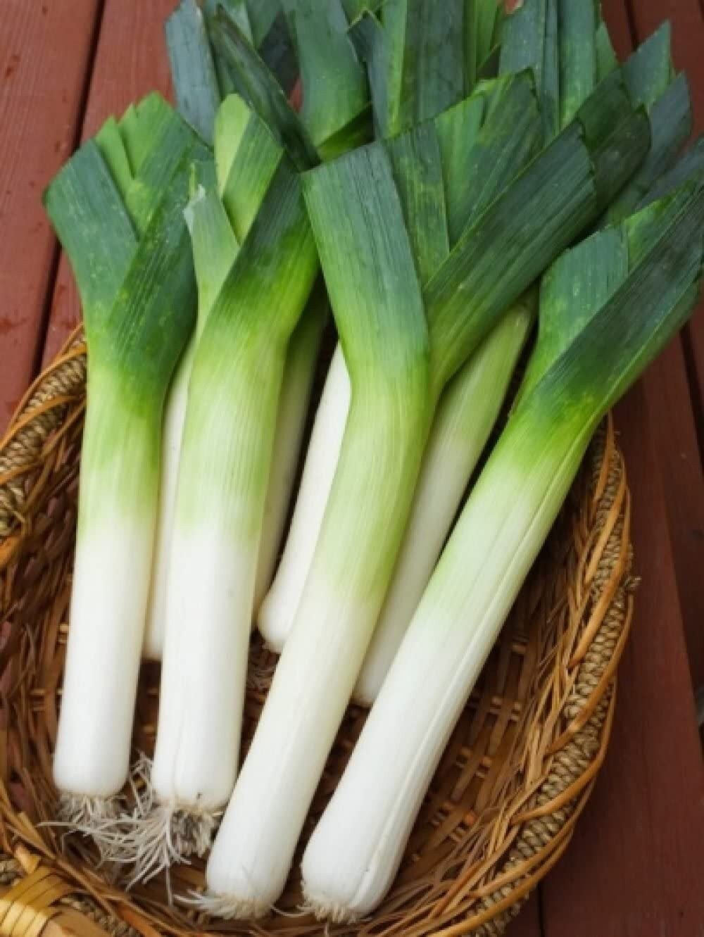 Autumn Giant Leek Onion - 300 Seeds
