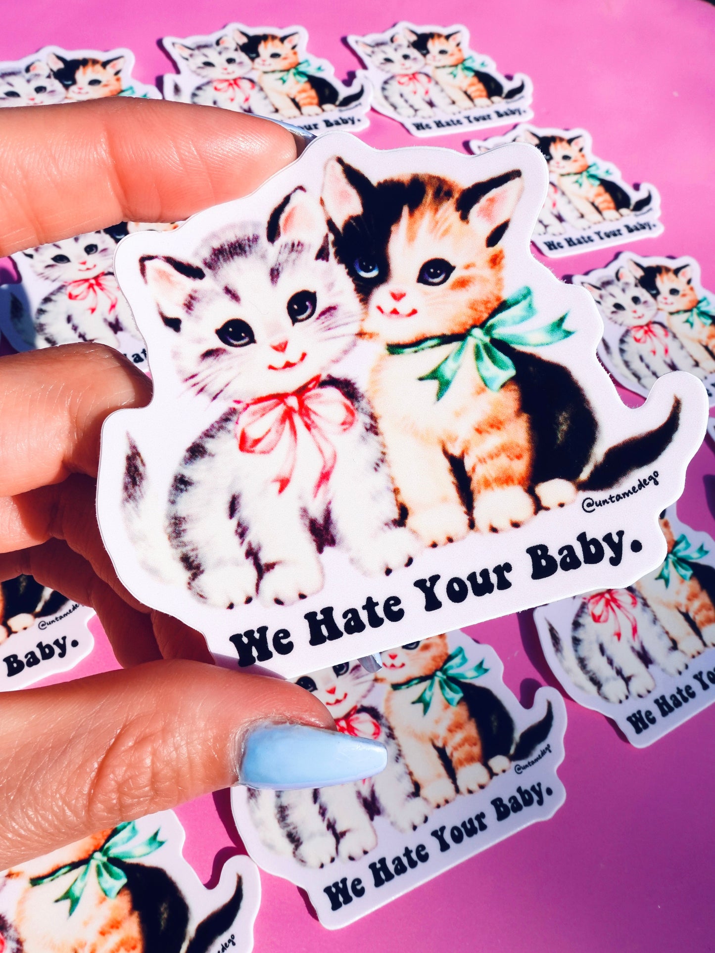 Funny Vinyl Sticker – We Hate Your Baby  Cats Waterproof Dark Humor Sticker