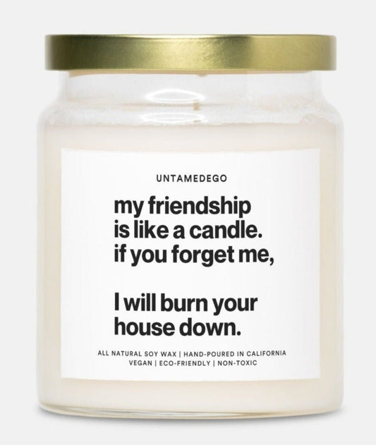 My Friendship Is Like A Candle Hand Poured Candle