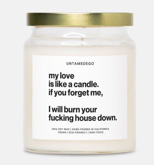 My Love Is Like A Candle If You Forget Me I Will Burn Your Fucking House Down Gold Top 9oz Candle