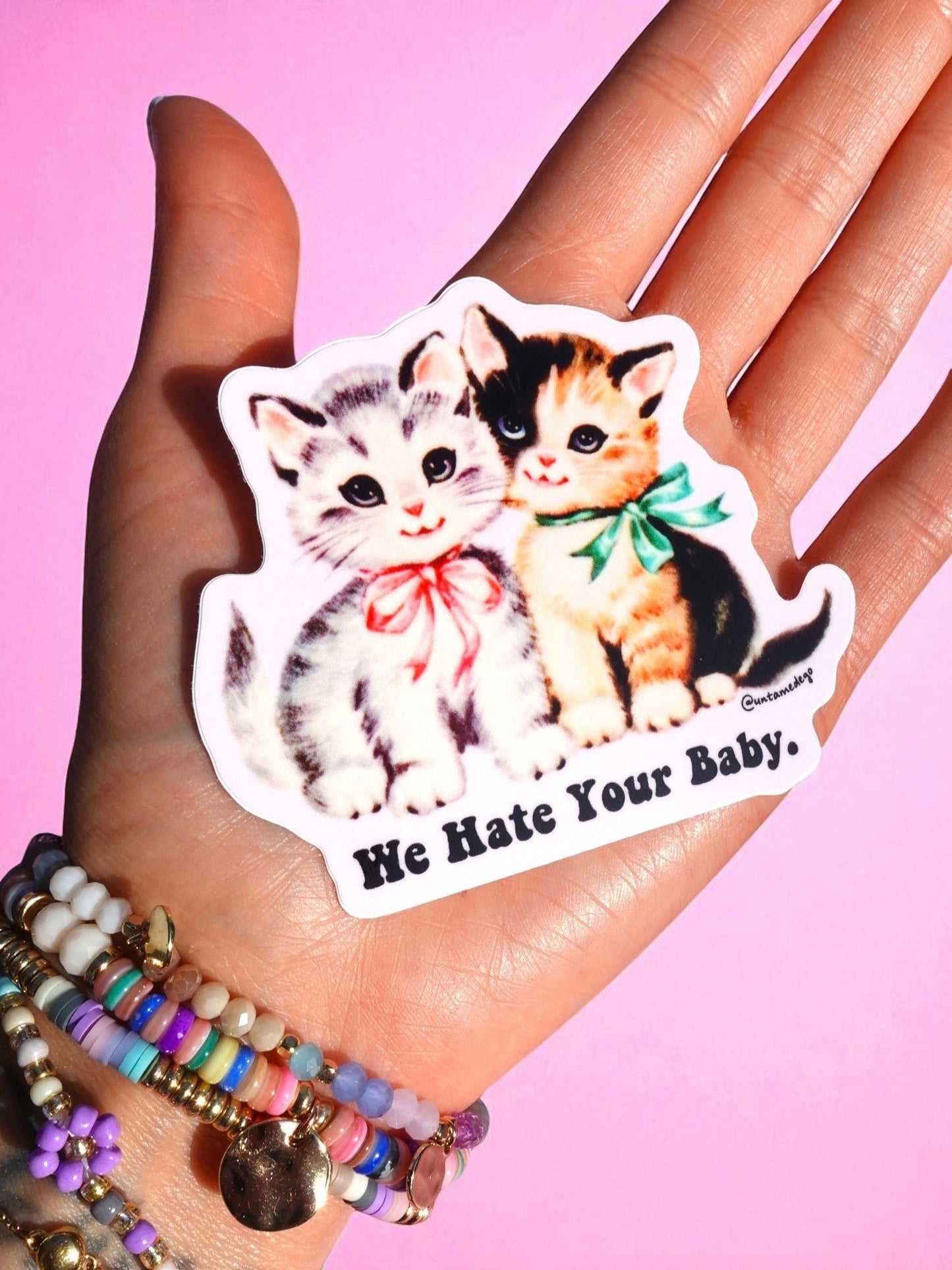 Funny Vinyl Sticker – We Hate Your Baby  Cats Waterproof Dark Humor Sticker